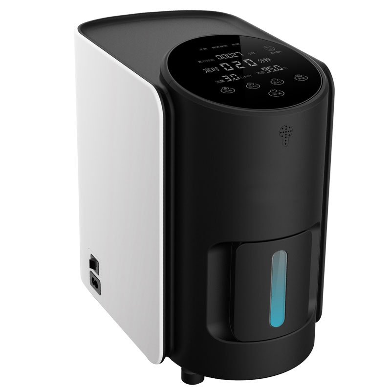 Household 5 Liter Movable Oxygen Concentrator with Smart Voice NEUZY35