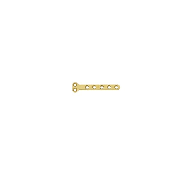 1.1mm T Type Plate (B Series) 2+5 Holes